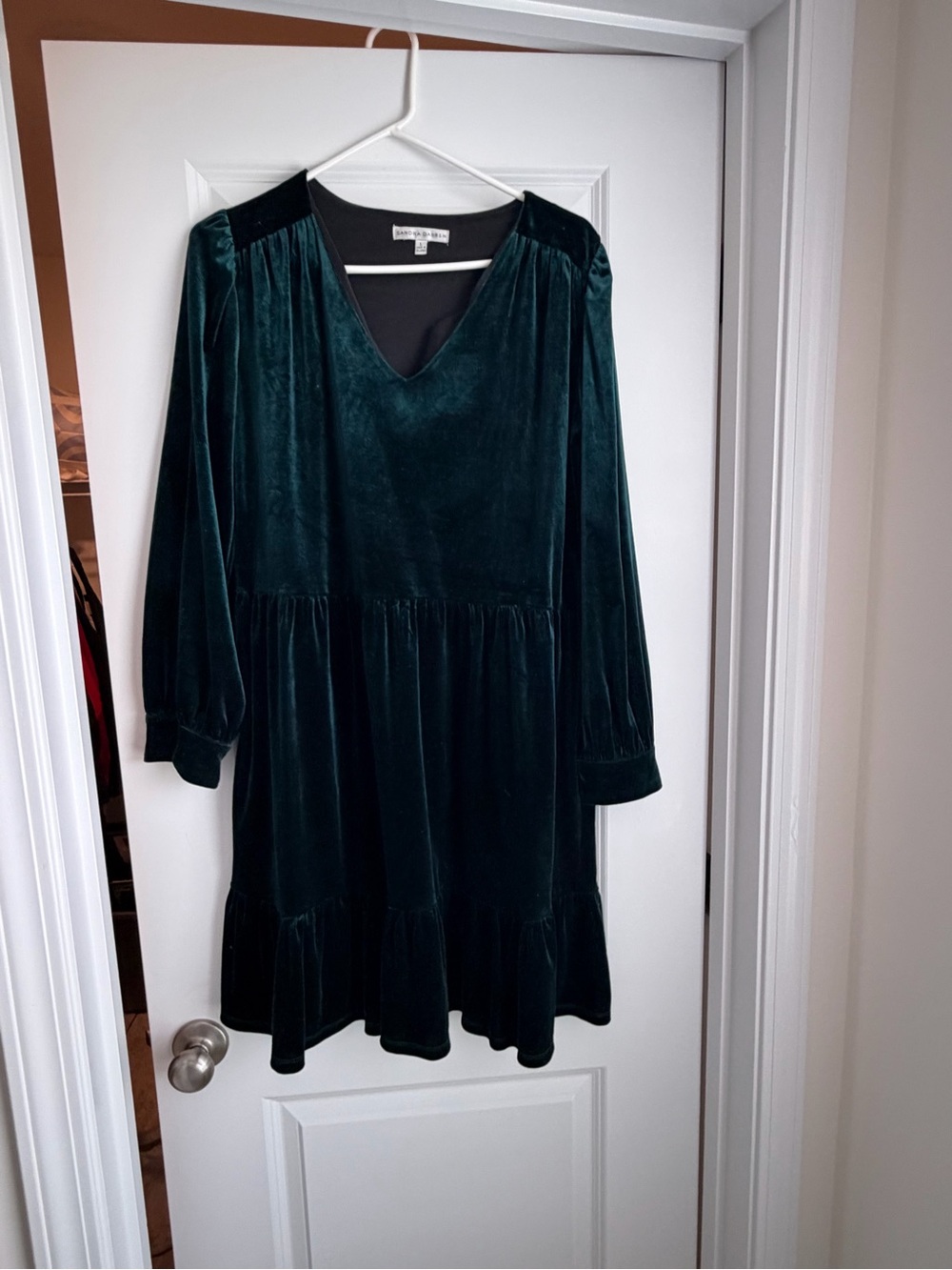 Sandra Darren Deep Green Velvet V-Neck Long Sleeve Dress